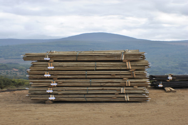 Diggersrest Timber Company