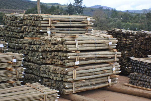 Diggersrest Timber Company