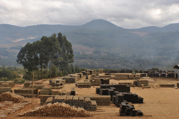 Diggersrest Timber Company