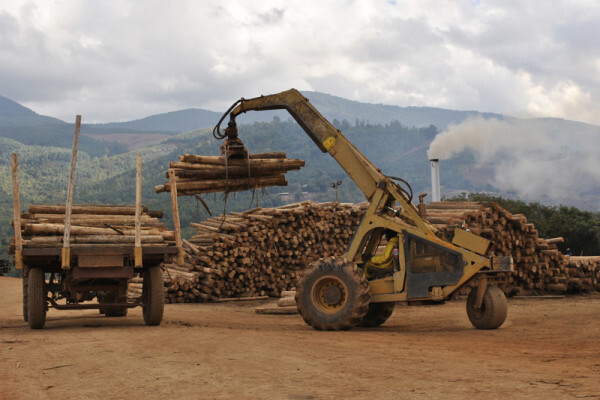 Diggersrest Timber Company