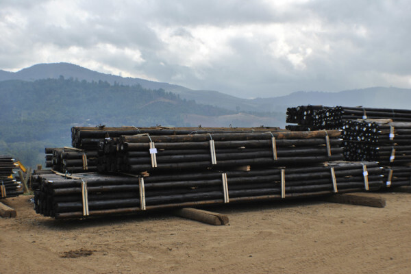 Diggersrest Timber Company