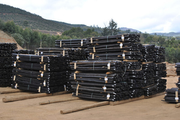 Diggersrest Timber Company