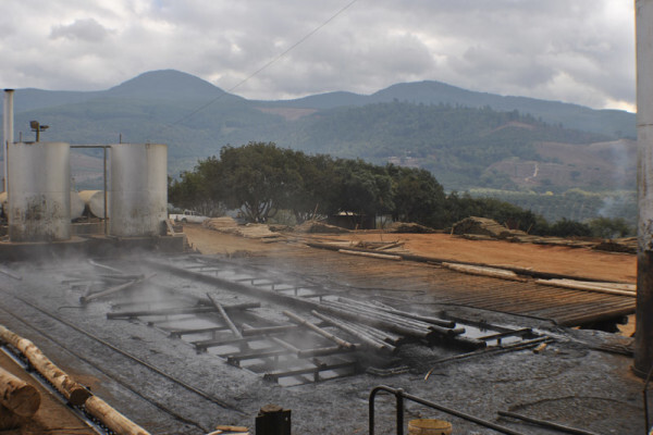 Diggersrest Timber Company