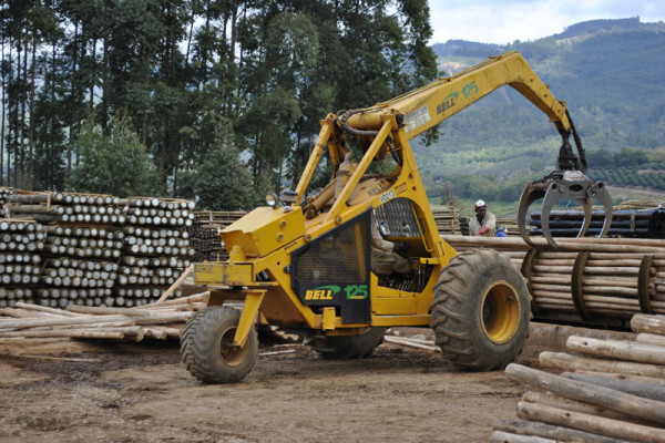 Diggersrest Timber Company