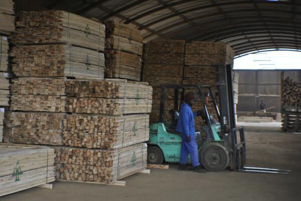 Diggersrest Timber Company