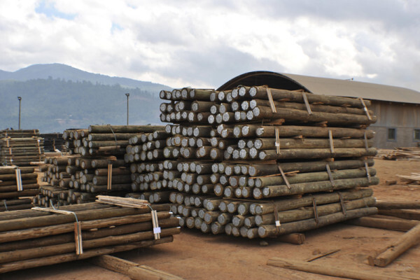 Diggersrest Timber Company
