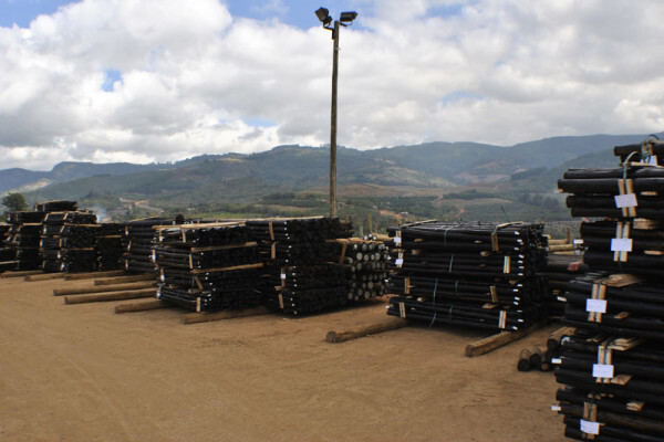 Diggersrest Timber Company