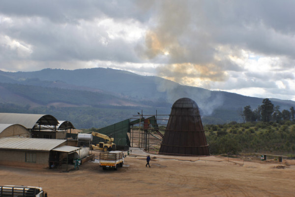 Diggersrest Timber Company