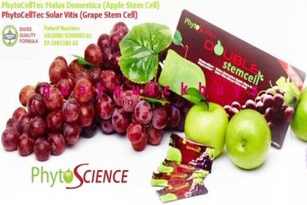 PhytoScience