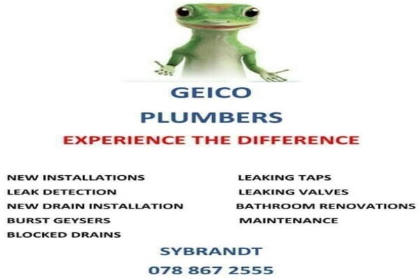 Geico Plumbers