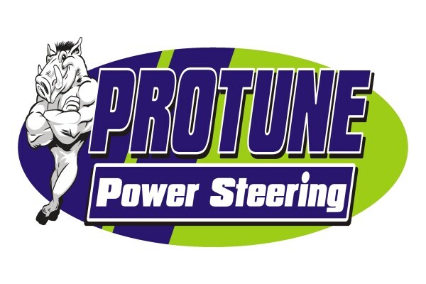 Protune Vehicle Maintenance And Power Steering