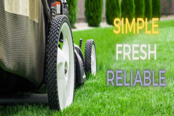 Lawn Tree Garden Service