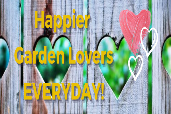 Lawn Tree Garden Service