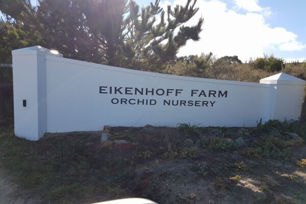 Eikenhoff Orchid nursery