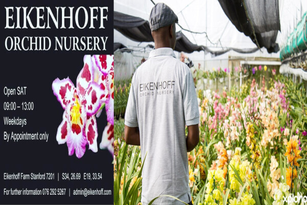 Eikenhoff Orchid nursery