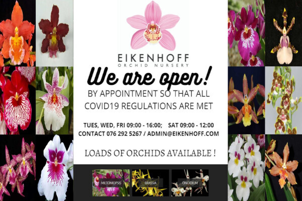 Eikenhoff Orchid nursery