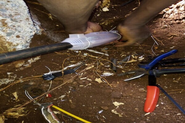 Electrician in Eladurspark 0671771929