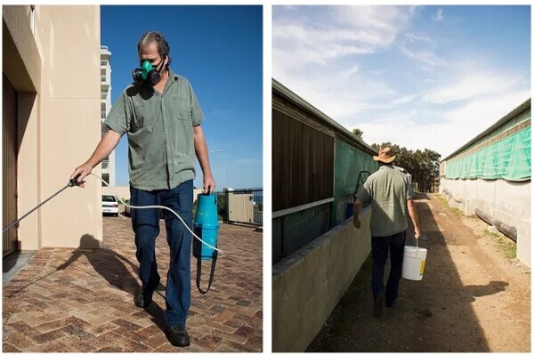 Loedolff Property Maintenance (Pty) Ltd