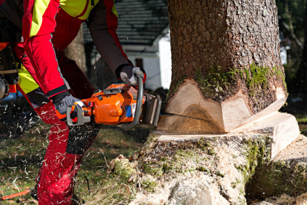 Tree Felling Pros Roodepoort
