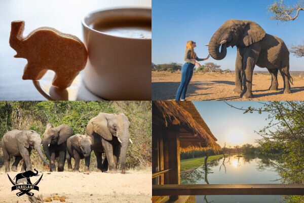 Jabulani Safari
