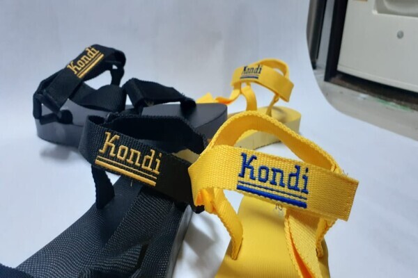 Bongiphindi embroidery