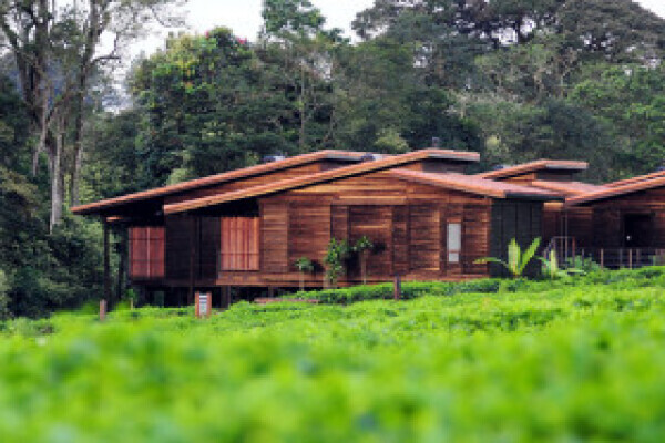 Timber Log Homes