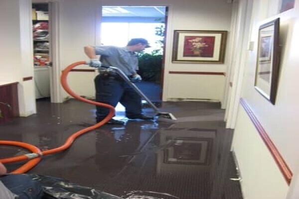 Bedfordview Cleaning Service