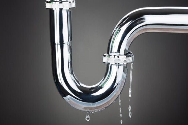 Vital Plumbing