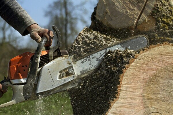 Tree Felling Pros Southern Suburbs Cape Town