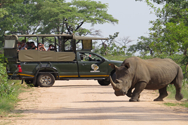 Kruger National Park Safaris by Kurt Safari