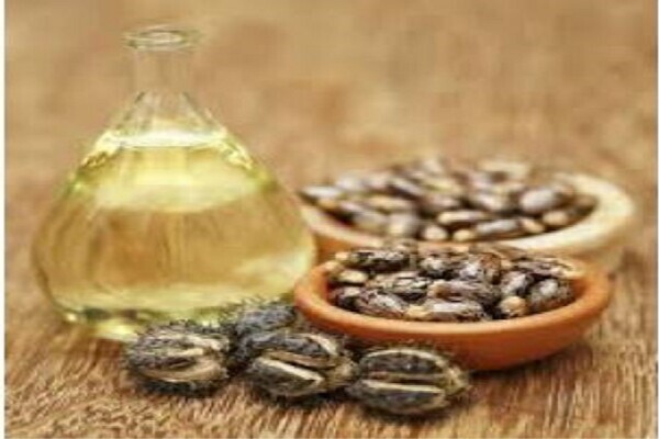 MUTUBA SEED AND OIL PENIS ENLARGEMENT +27735990122