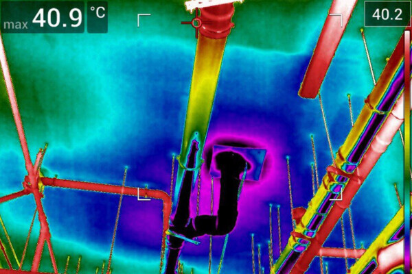 Vital Plumbing