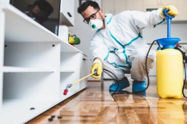 Get Pest Control Midrand