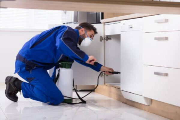 Get Pest Control Midrand