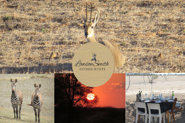 Guided Hunts