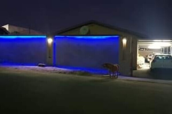 Noel's electrical