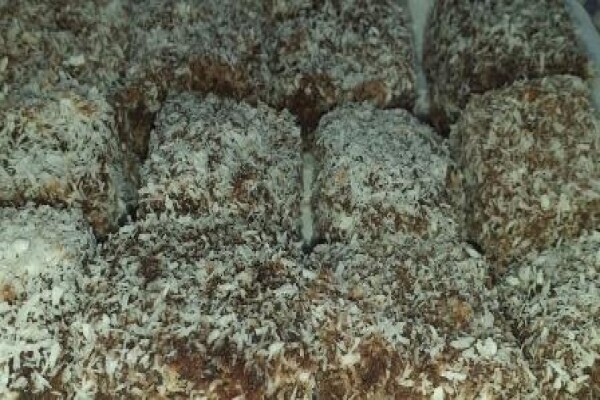 Tulip Bakery