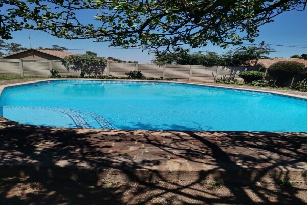 Amazing pools services