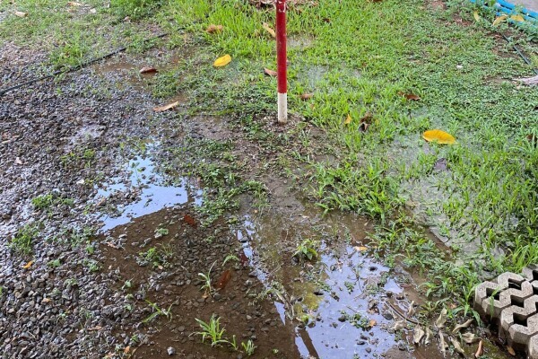 Leak Detection Pros Cape Town