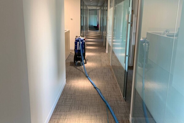 Carpet Cleaning Pros
