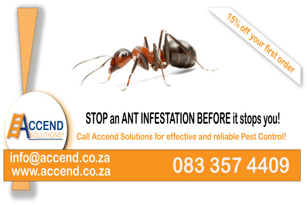 Accend Solutions®