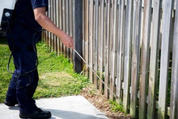 Get Pest Control Alberton