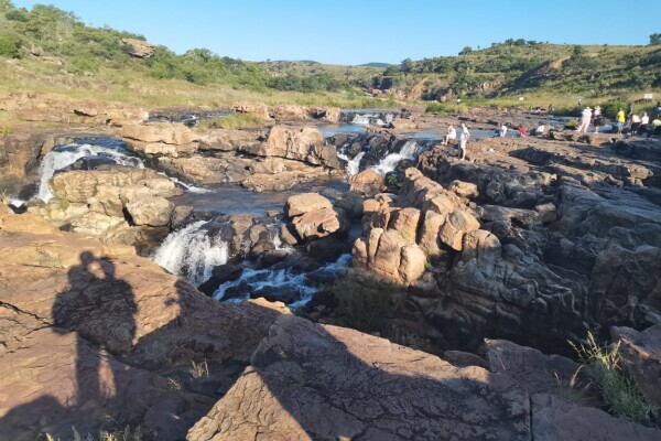 Africa Moja Tours & Transfers