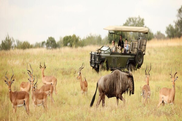 Africa Moja Tours & Transfers