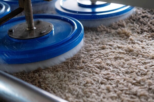 Carpet Cleaning Pros Cape Town