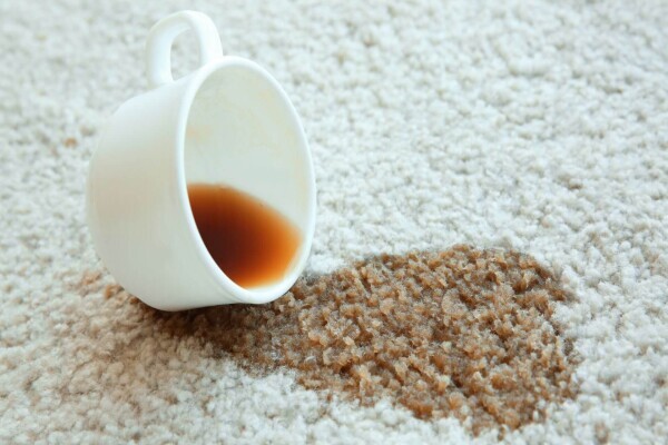 Carpet Cleaning Pros