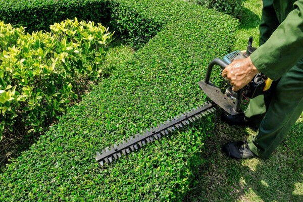SA Landscaping