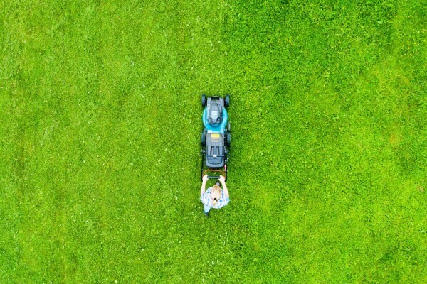 SA Landscaping