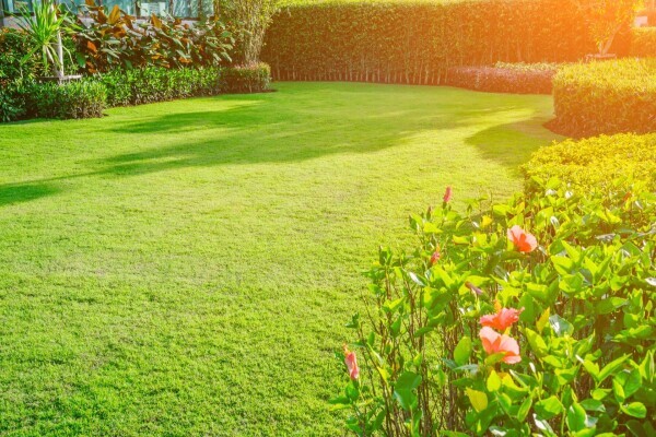 SA Landscaping