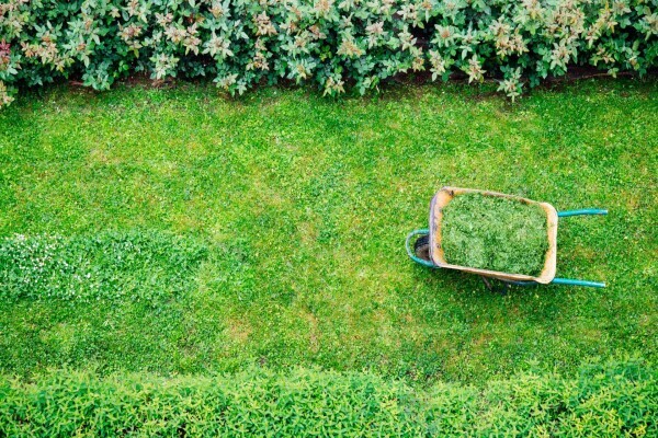 SA Landscaping